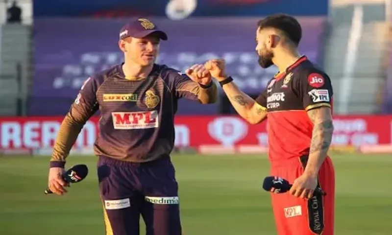IPL Cricket: RCB to take on KKR in Eliminator today at Sharjah Cricket Stadium