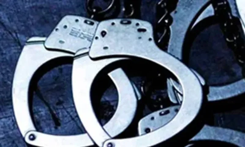 Sabarkantha: A 62-year-old lady apprehended for murder of her grandson