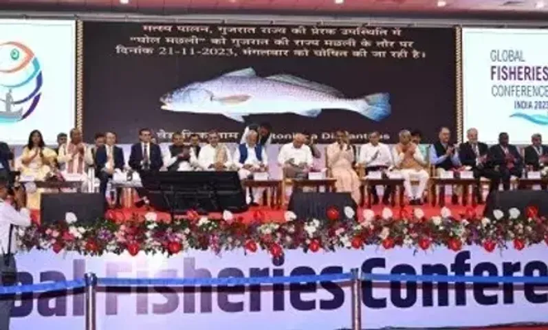 ‘Ghol’ declared state fish of Gujarat at Global Fisheries Conference, Ahmedabad