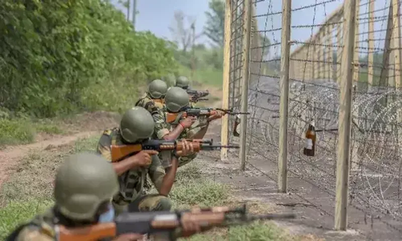Pakistani intruder shot dead by BSF along IB in Punjab's Ferozepur