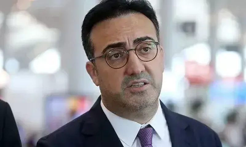 Ilker Ayci turns down Tata Sons' offer to be new Air India MD & CEO