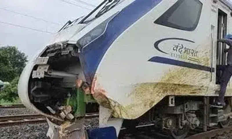 Vande Bharat Express hits cattle, cow falls on man peeing on tracks, both dead