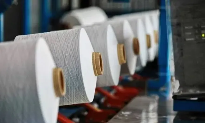 Basic customs duty on cotton unchanged in Gujarat