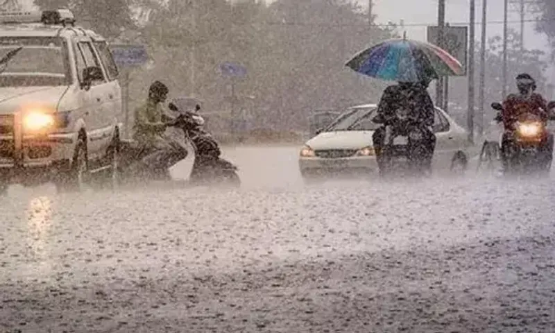 Red alert issued for heavy rain in seven districts of Odisha
