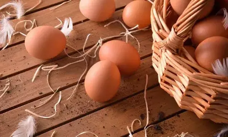 Chicken, egg prices decline amid fall in demand