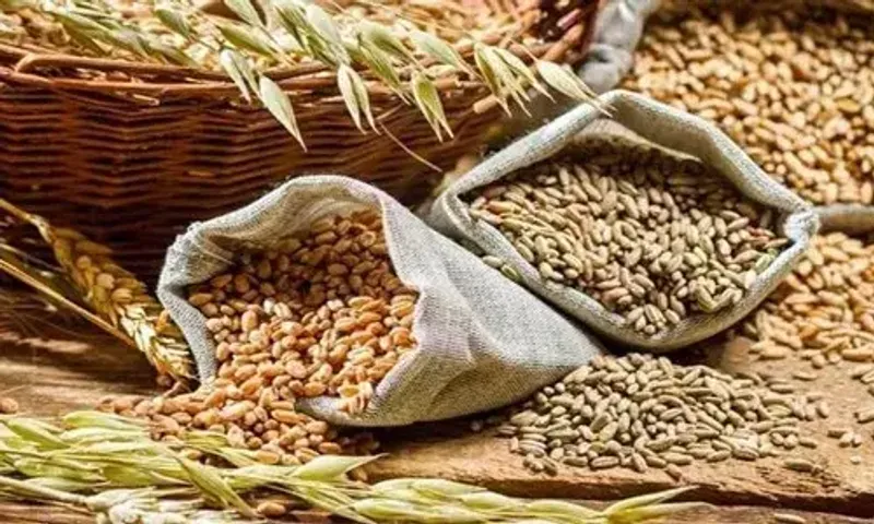 Prime Minister reviews various aspects of wheat supply, stock and exports