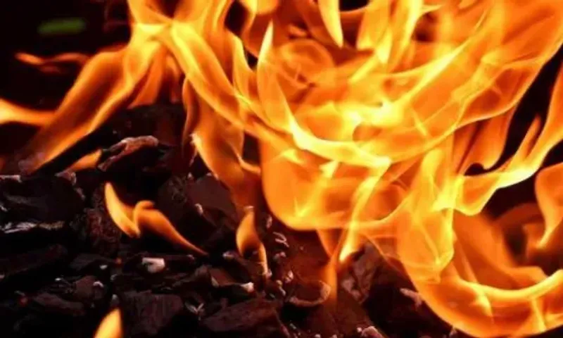 Massive fire broke at Gujarat Ink Factory