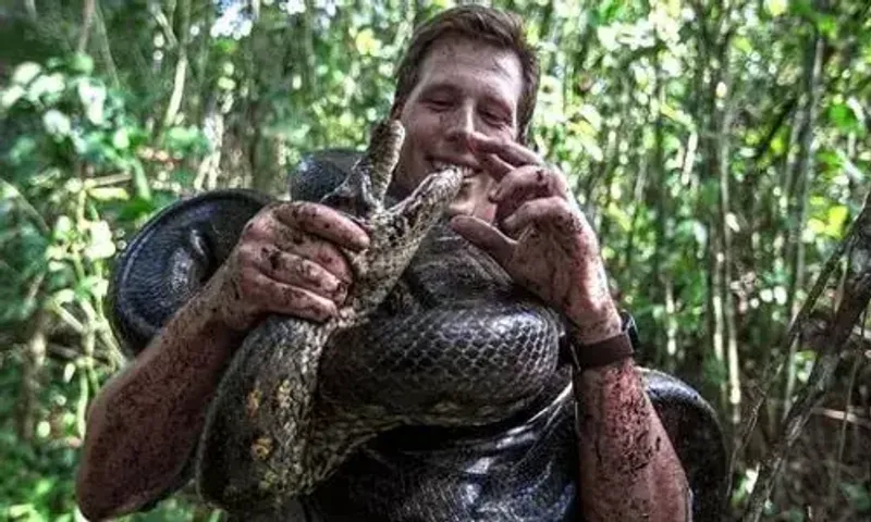 26-Foot-long anaconda discovered in Amazon rainforest is the world's biggest snake