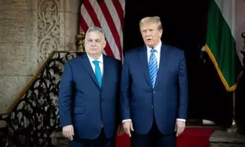 Hungary summons US envoy over Biden's 'dictatorship' comments