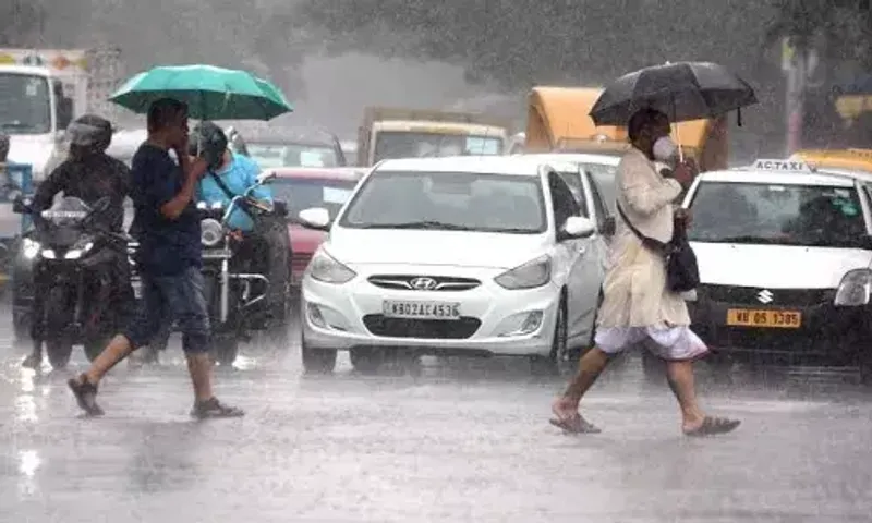 Overnight rains lash Tamil Nadu, schools shut