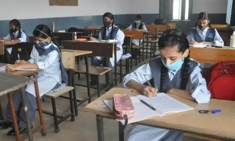 Offline classes for standards 1 to 9 begin tomorrow in Gujarat