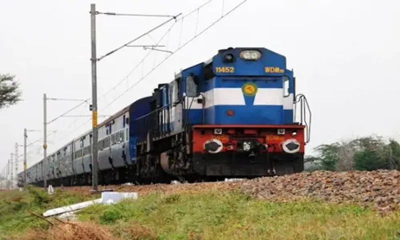 Indian Railways suffering losses in crores due to stray cattle run over incidents