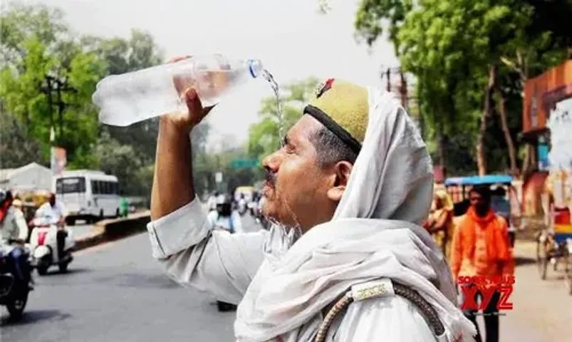 Gujarat confronts climate crisis: Alarming heat waves, extreme weather