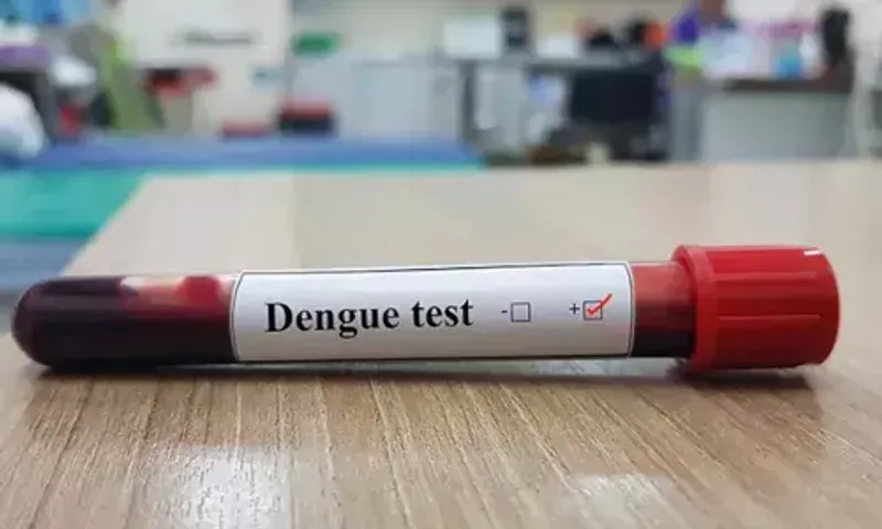 Bangladesh records the worst outbreak as dengue cases cross 300,000 mark