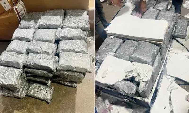Narcotics found in 20 parcels sent from abroad