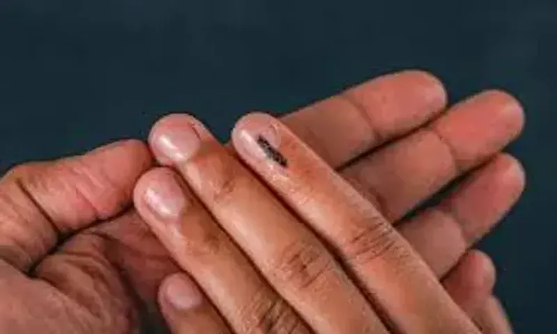 Lok Sabha elections 2024 phase 3: Gujarat to vote for all 25 seats on May 7