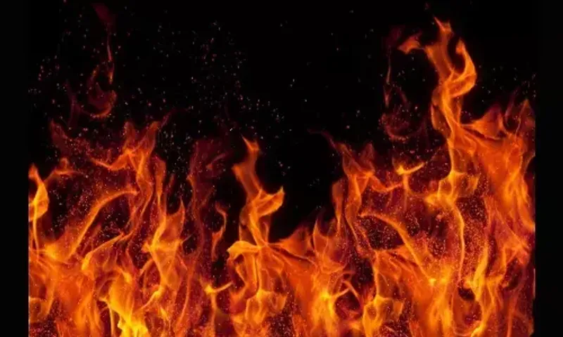 Old woman died in a fire broke out in company in Vadodara