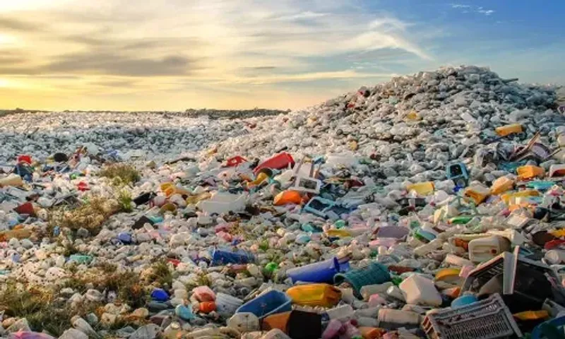 Several single use plastic products to be prohibited from July 1, 2022