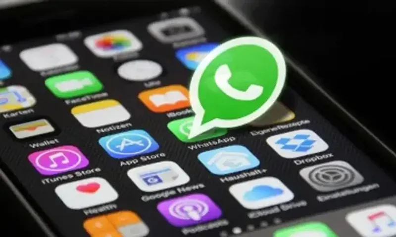 WhatsApp users will be able to search for businesses in their nearby area