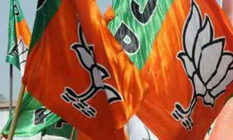 Ahead of Gujarat polls, BJP to launch huge feedback campaign for vision document