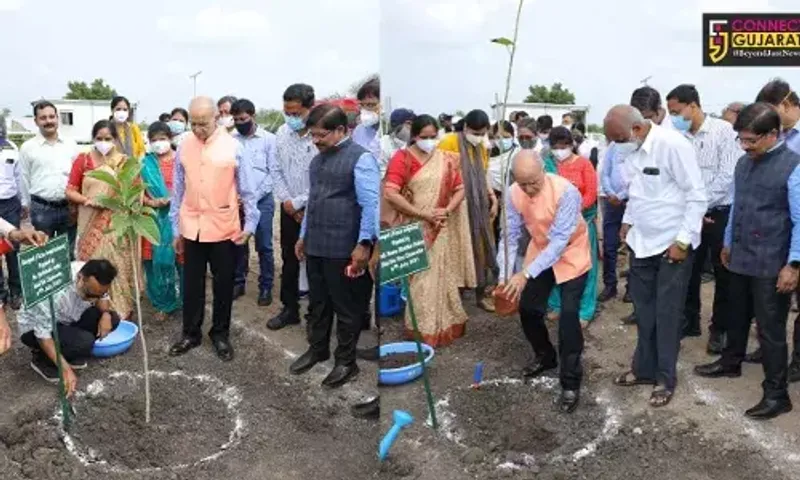 Tree Plantation program held at Gujarat Central University under construction campus at Kundhela