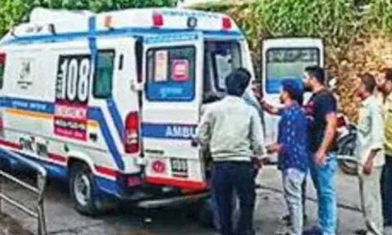 Gujarat: In 12 hours, lioness attacks 6 in 3 separate incidents