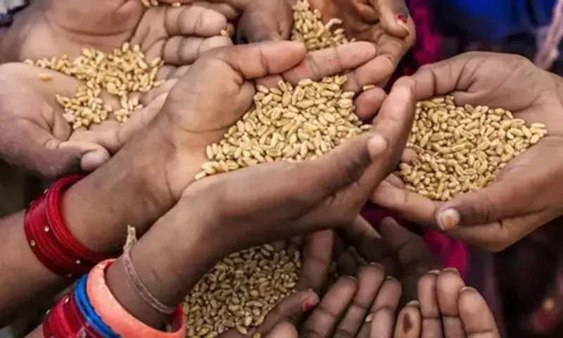 Government extends PMGKAY for another five years, providing free food grains to poor people every month