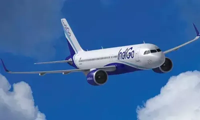 Almost 50 aircrafts of IndiGo, GoFirst grounded due to unavailability of parts