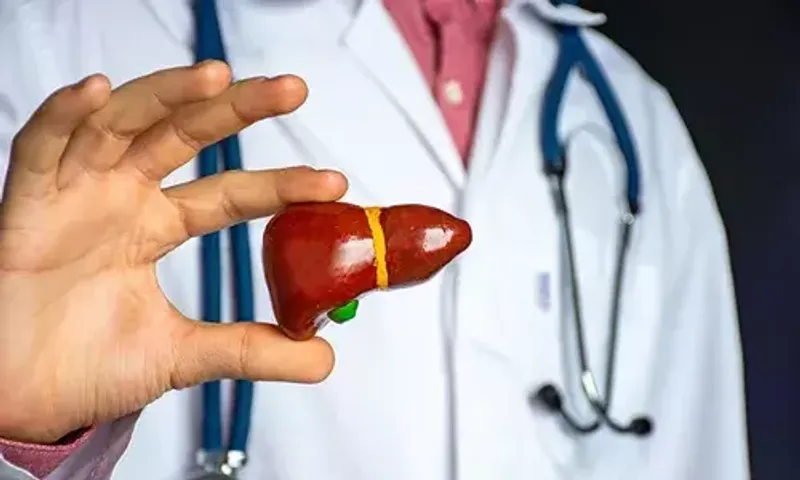 Increased weight in the Corona epidemic led to an increase in various liver diseases