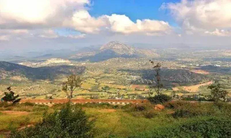 Gujaratis flee to hills to escape the heat