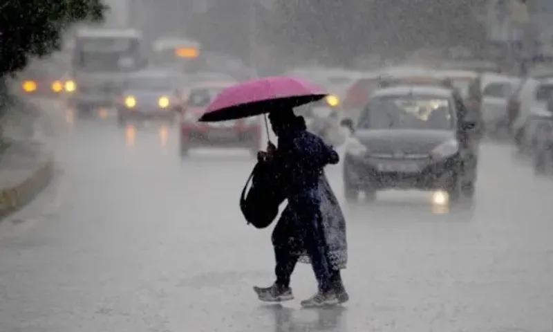 District administration on high alert for heavy to very heavy rains forecast in Vadodara district