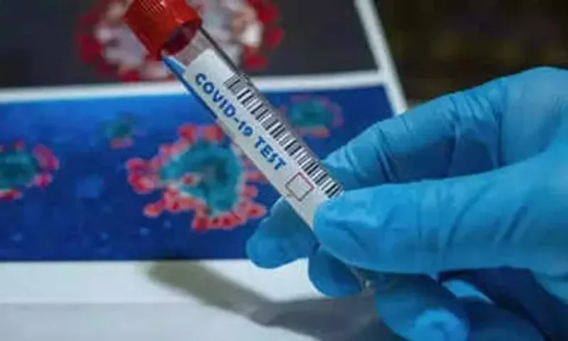 Gujarat sees 42 new Covid cases, 49 recover