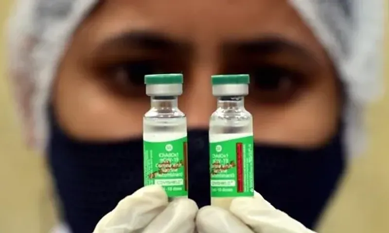 15 EU countries recognise India's Covishield vaccine for travellers