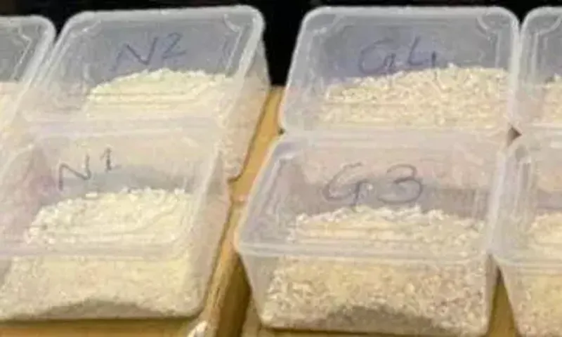 Heroin worth Rs 60 crore seized at Ahmedabad airport