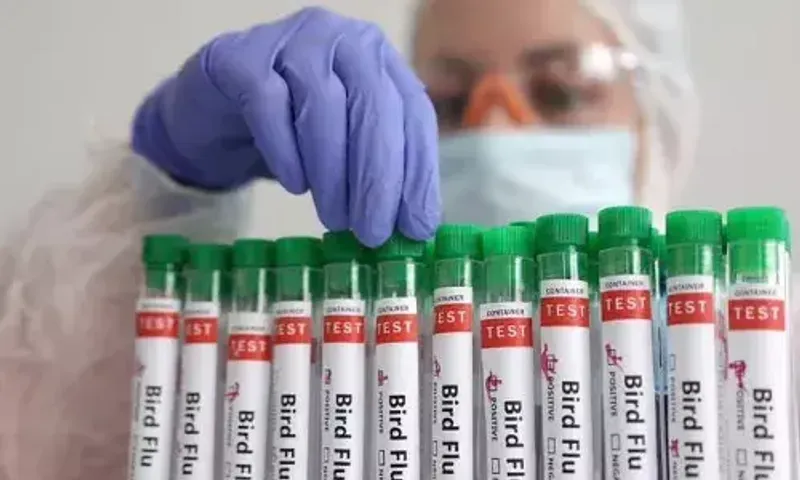 US CDC issues advisory for bird flu crisis in country