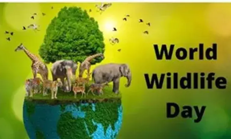 World Wildlife Day being observed today