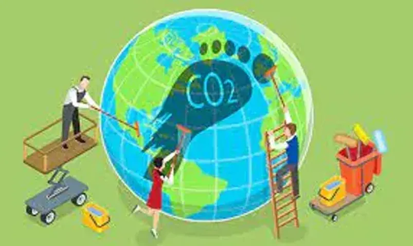 How Polypack Packaging Can Help Reduce Your Company's Carbon Footprint
