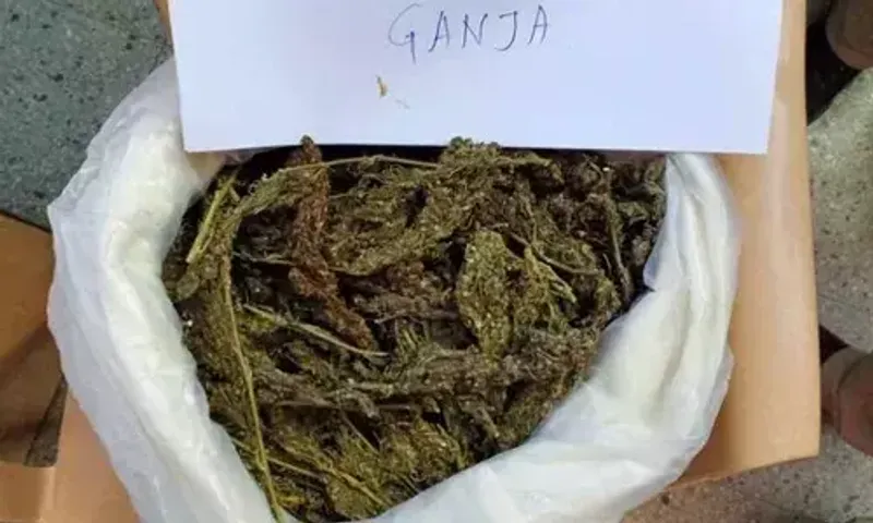 On the Mumbai-Ahmedabad highway, 50 kg of ganja seized, two apprehended 