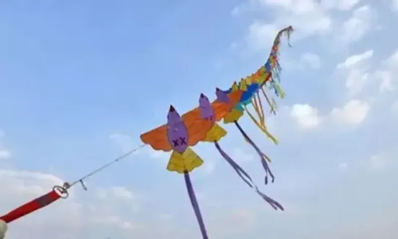 Gujarat's Makar Sankranti celebrations: Around 60 people hurt by kite strings