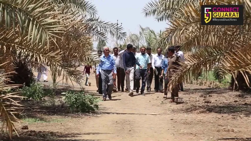 Ambassador of Tunisia visits Date farm in Jitali village of Ankleshwar