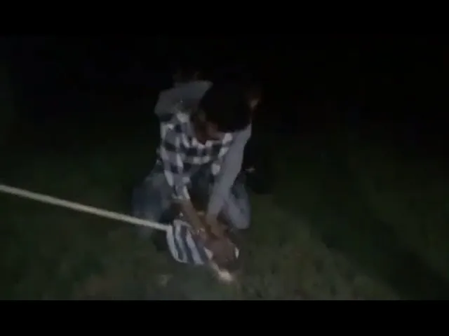 GSPCA rescued 7.5 feet crocodile