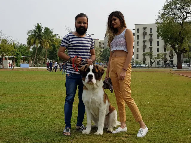 Dog show attract 150 plus breeds in Vadodara