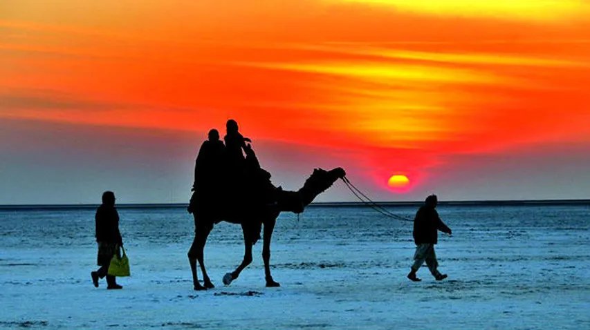 Places to visit in Gujarat in January