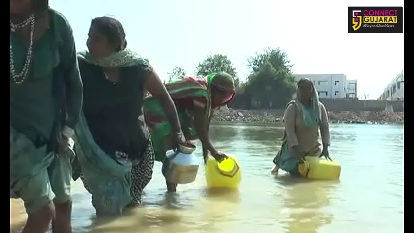People drink water from a stinking pond in Vadodara