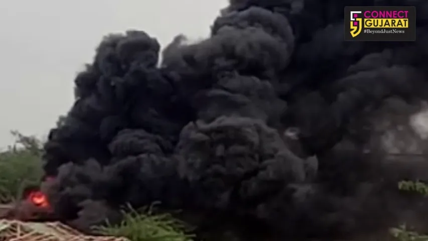 Fire in plastic seeds godown in Vadoadara