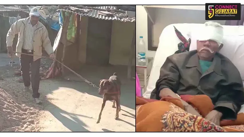 Armed robbers striked inside two houses in Ishwarpura village in Waghodia