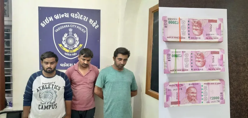 Vadodara crime branch arrested the gang involved in cheating