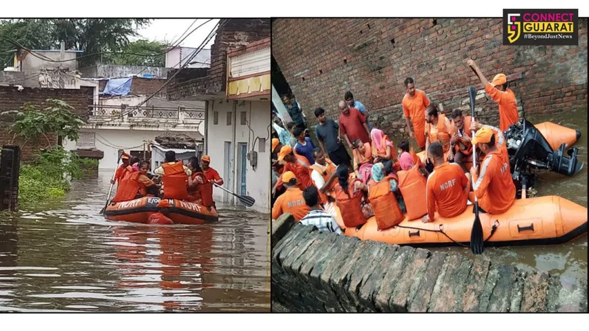 Total 8 NDRF Teams deployed in Rajasthan in view of the flood situation