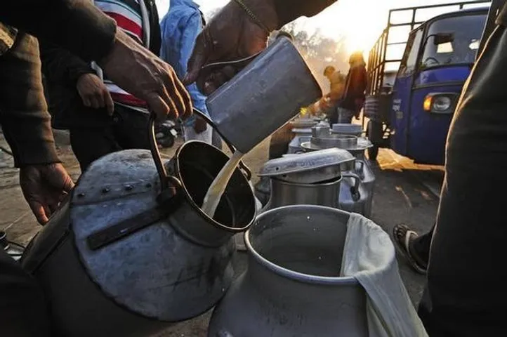 Milk quality largely safe, presence of Aflatoxin M1 residues raises concern: FSSAI survey