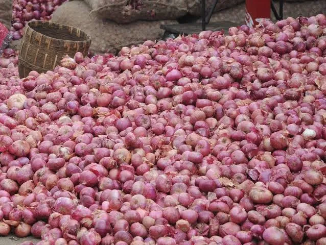 Onion brings cheers to debt-ridden Karnataka farmer, makes him crorepati